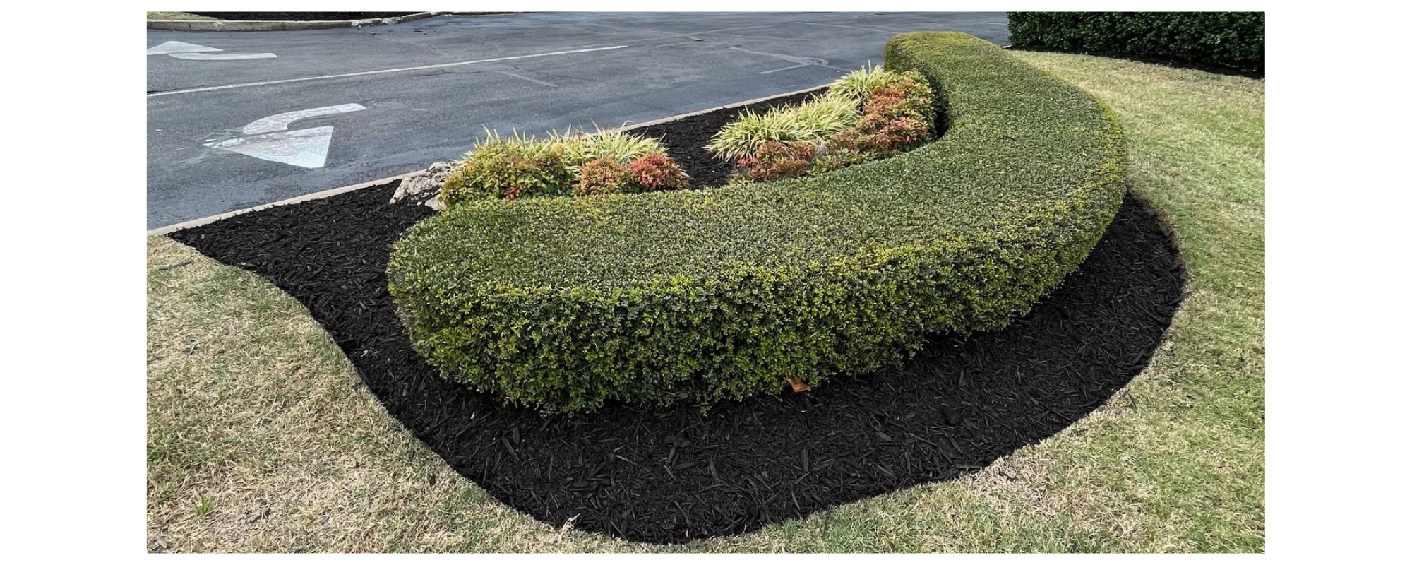 Commercial Lawn and Landscaping