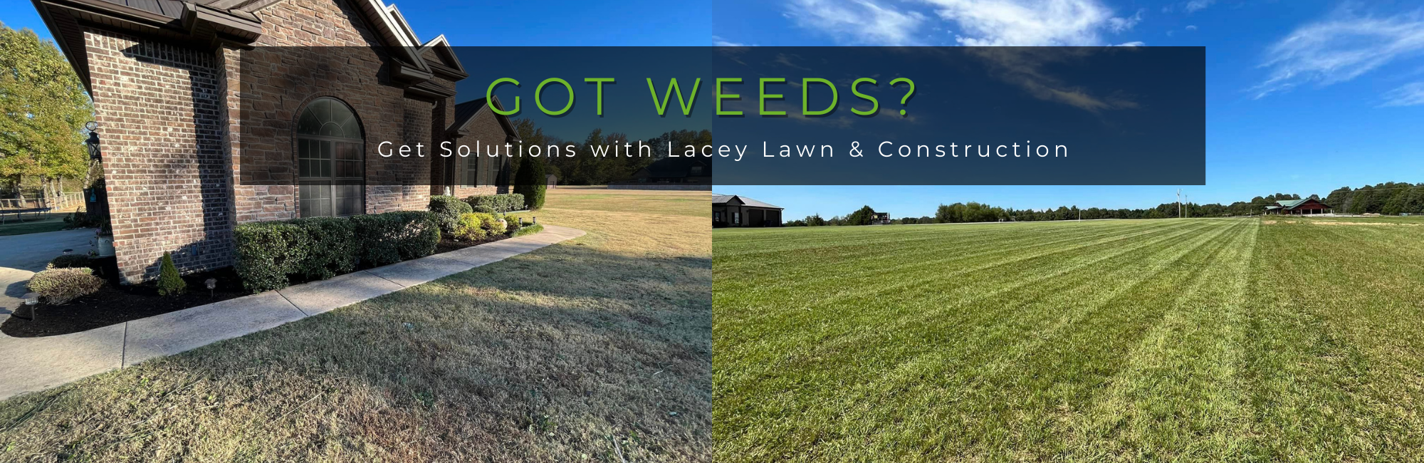 Lawns after weed treatment application