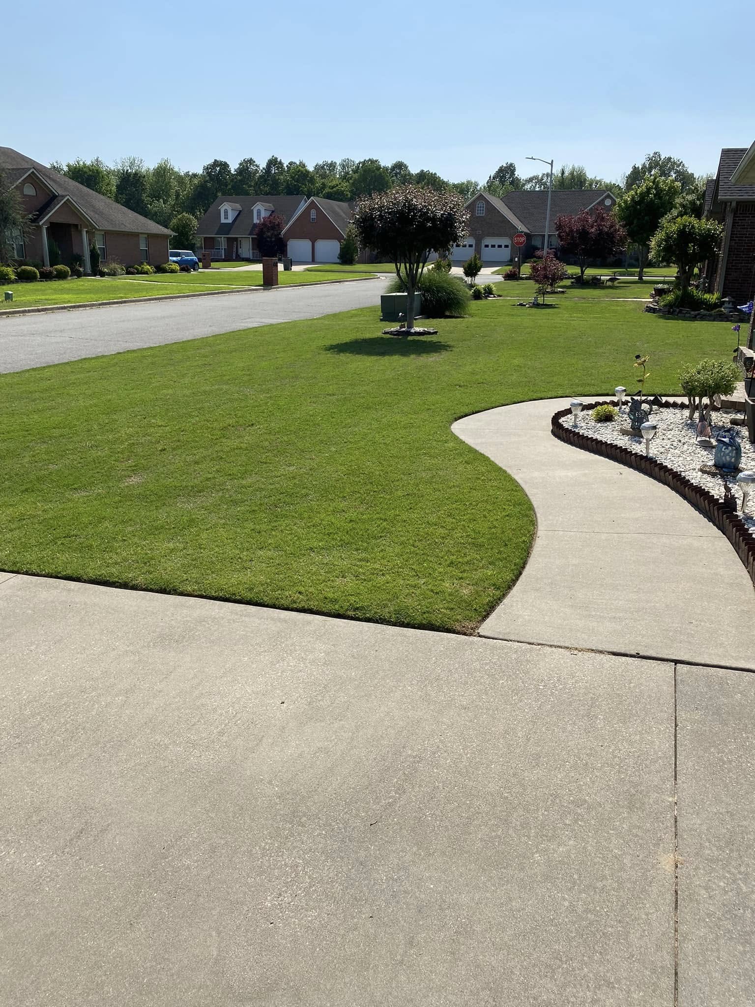 green, healthy residential lawn