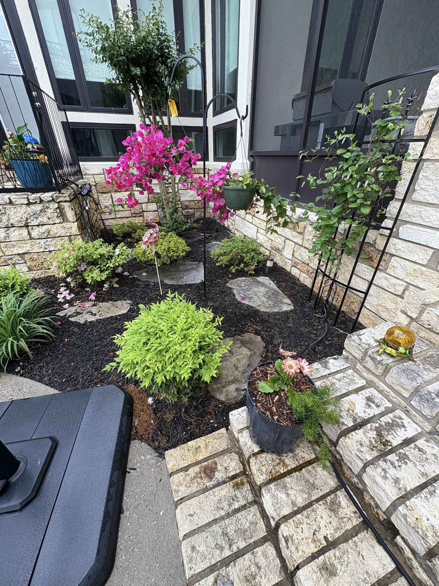 flowerbed with colorful flowers