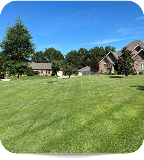 residential lawn care