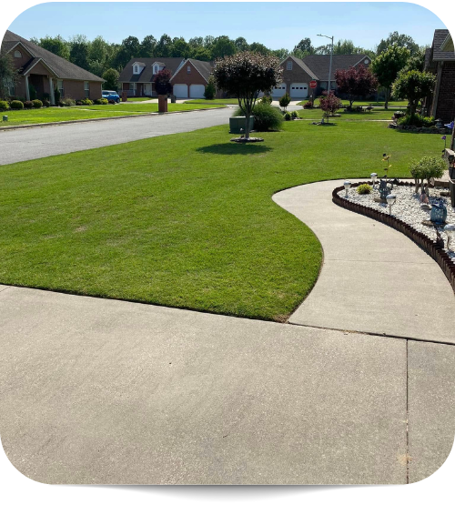 lawn fertilization